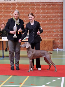 Huntess Dicte BIR med fører Freja, og dommer 
Jessie Borregård Madsen
